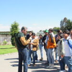 Prácticas profesionales